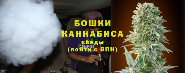 мяу мяу мука Горно-Алтайск