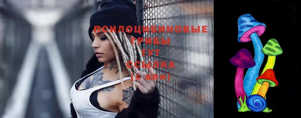 мяу мяу мука Горно-Алтайск